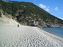 17. Solanas